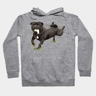 the dog drooled - vector image Hoodie